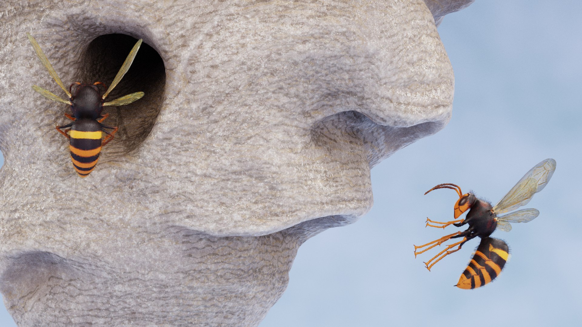 3D Hornets with Nest https://p.turbosquid.com/ts-thumb/lp/R9XJL1/1A/hornetswithnesth/png/1628936441/1920x1080/fit_q87/6d0e7191991a788a05ac478b06e4f5436cb65cc2/hornetswithnesth.jpg