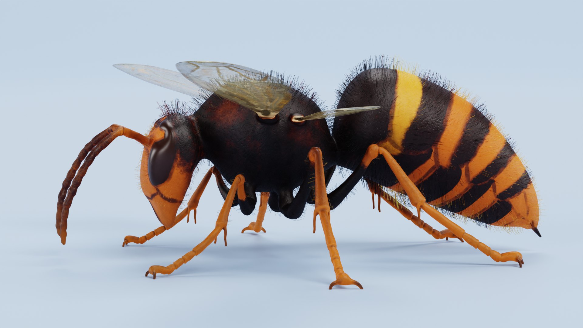 3D Hornets with Nest https://p.turbosquid.com/ts-thumb/lp/R9XJL1/A0/hornetswithnestj/png/1628936426/1920x1080/fit_q87/2c96c814cb3737c7c5aedffdf491b5c53f36d6cc/hornetswithnestj.jpg