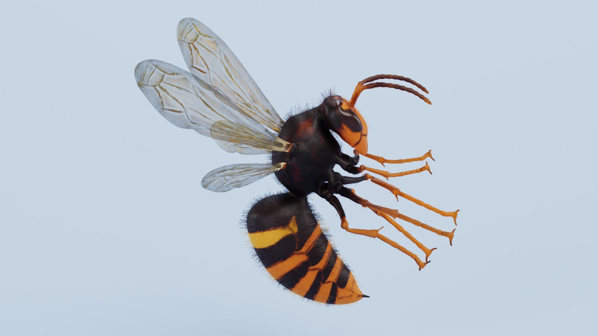 3D Hornets with Nest https://p.turbosquid.com/ts-thumb/lp/R9XJL1/Hz/hornetswithnesti/png/1628936438/1920x1080/fit_q87/10a92a8b86f106bb0b871205d122aed5b61994f5/hornetswithnesti.jpg
