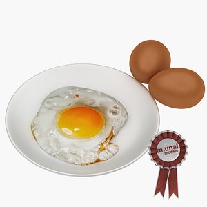 fried egg 3D model