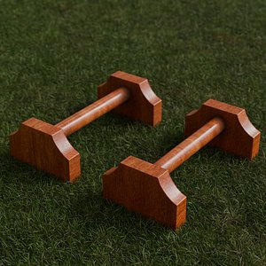 Realistic Wooden Parallettes