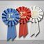 Ribbon Title pin
