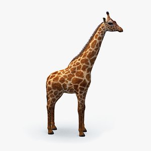 realistic giraffe fur 3D model