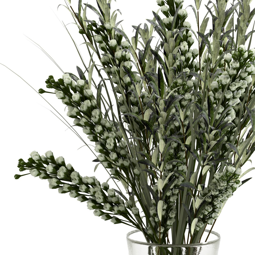 Indoor decor bouquet 3D model - TurboSquid 1613537