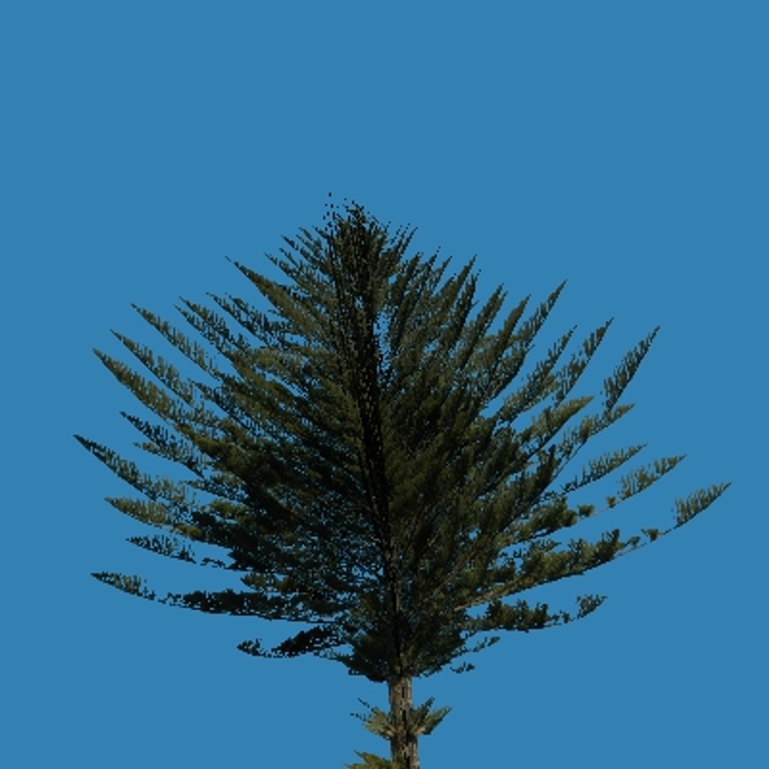 3ds pine tree https://p.turbosquid.com/ts-thumb/lq/AmqK2J/OVjJxpTl/bor6/jpg/1209038936/1920x1080/fit_q87/3c246db91f9b166125abaae80123bf30def5bbbf/bor6.jpg