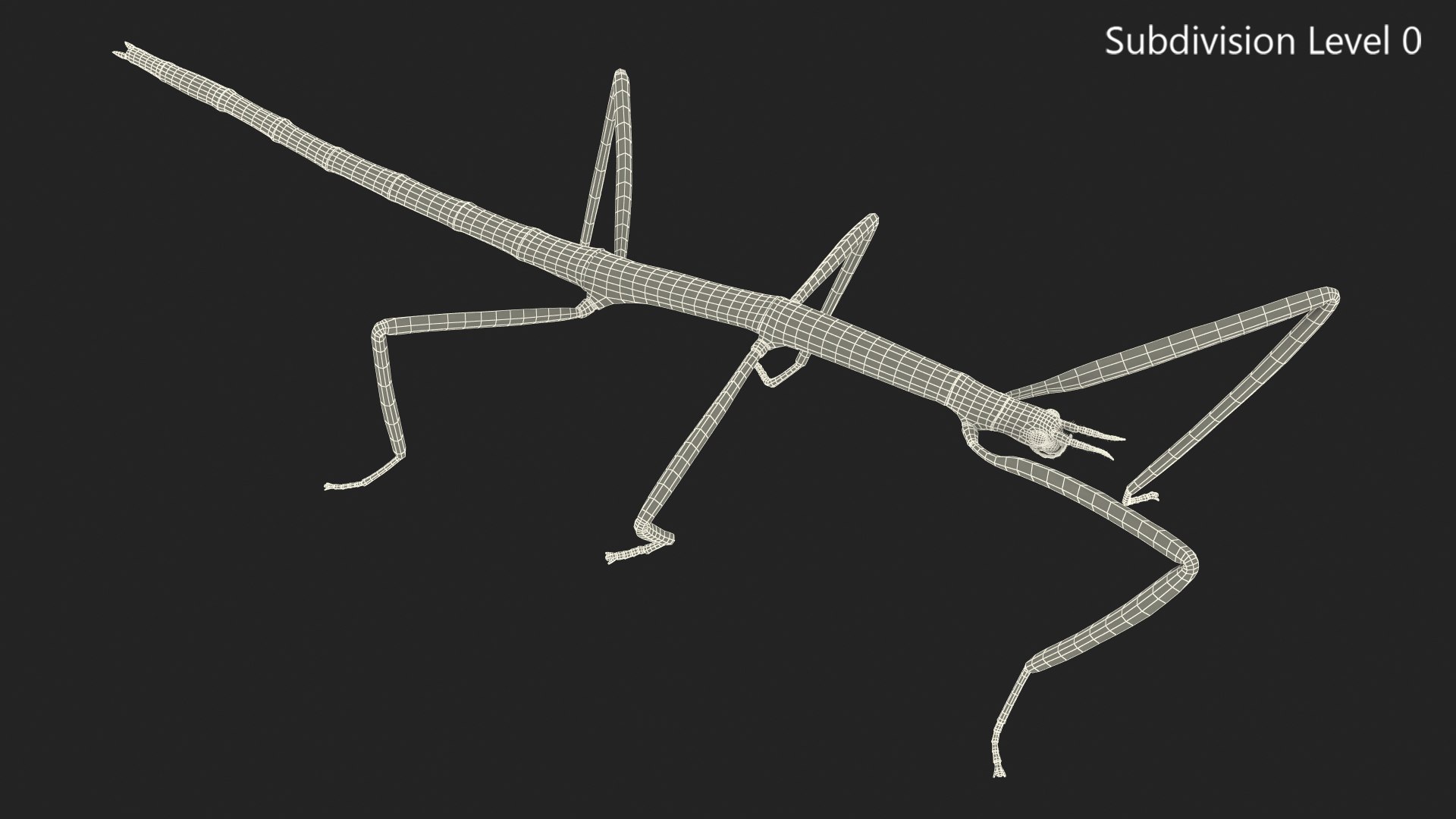 phasmatodea stick insect 3D model https://p.turbosquid.com/ts-thumb/lq/C03nZP/ojxGJ4EA/phasmatodeastickinsectc4dmodel013/jpg/1573173220/1920x1080/fit_q87/bba29e29c6f604d932675f73bde96a46ed1cb93a/phasmatodeastickinsectc4dmodel013.jpg