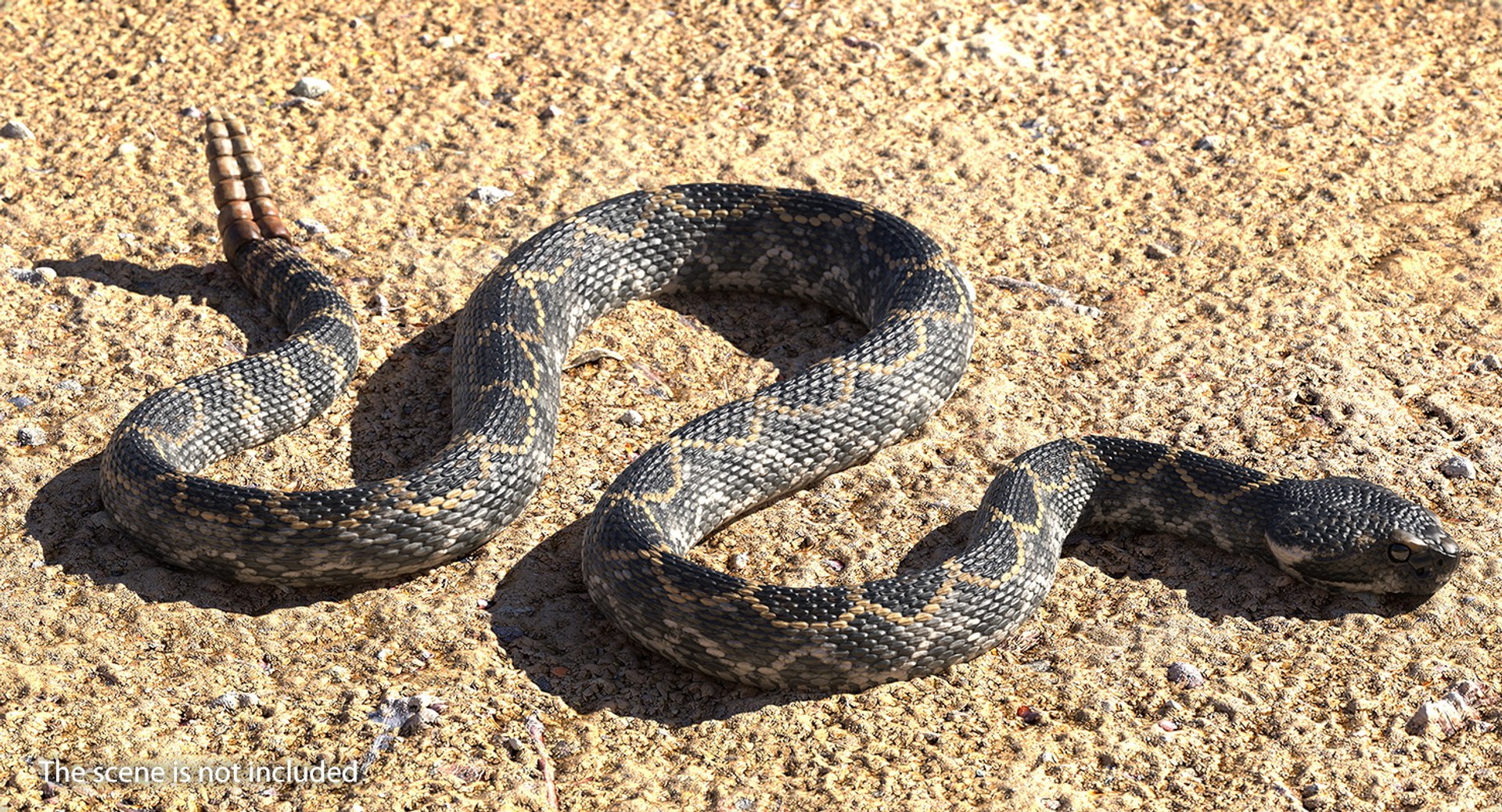 3D rigged snakes 3 https://p.turbosquid.com/ts-thumb/lq/DgZGR1/0dnABkhU/riggedsnakescollection33dsmodel029/jpg/1562588240/1920x1080/fit_q87/0e895df6eb9bca0ceaa4c2a1bd385171af907cc0/riggedsnakescollection33dsmodel029.jpg