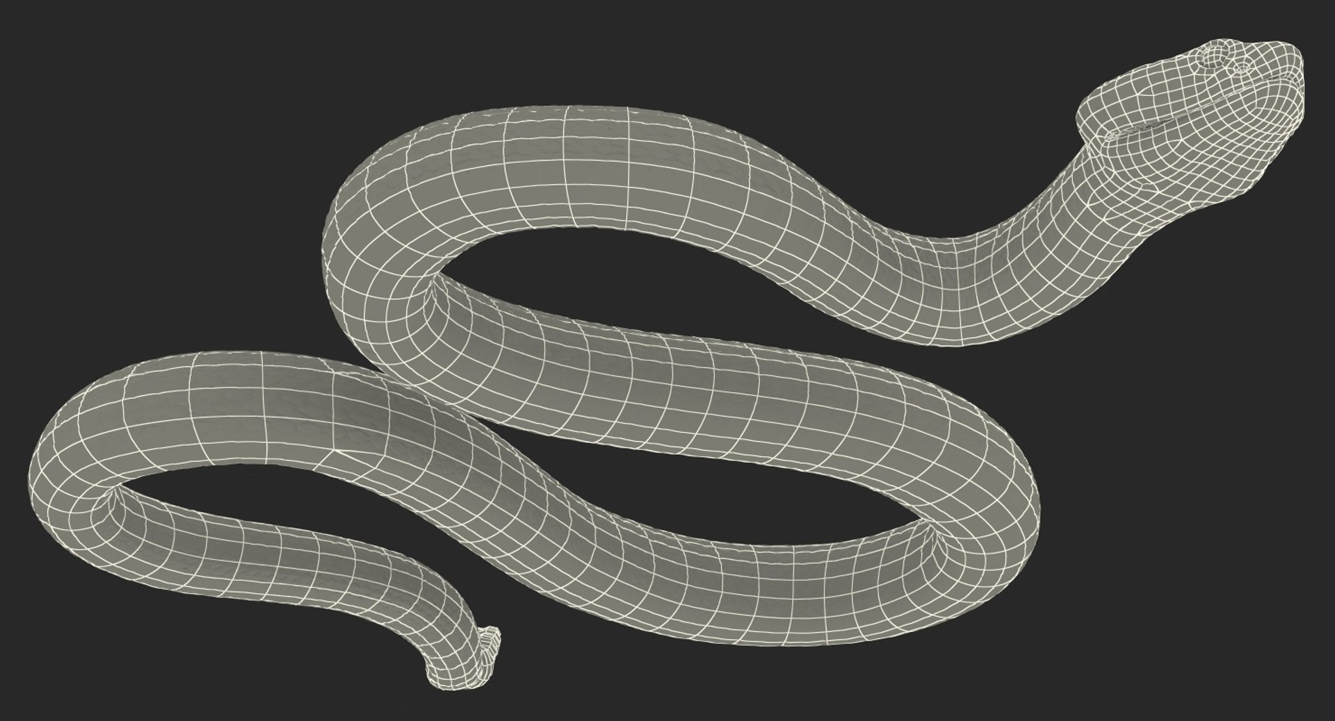 3D rigged snakes 3 https://p.turbosquid.com/ts-thumb/lq/DgZGR1/7vXn6RFf/riggedsnakescollection33dsmodel065/jpg/1562588362/1920x1080/fit_q87/cbf032a5e7cb322f8e0f893db2847d8533f1c125/riggedsnakescollection33dsmodel065.jpg