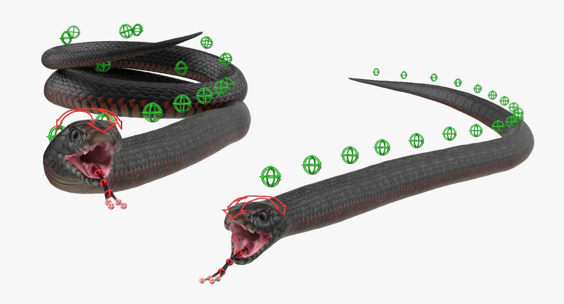 3D rigged snakes 3 https://p.turbosquid.com/ts-thumb/lq/DgZGR1/9IBvZOYE/riggedsnakescollection33dsmodel056/jpg/1562588335/1920x1080/fit_q87/4d20af30aff9a21594a95309b9fbc2456f03145e/riggedsnakescollection33dsmodel056.jpg