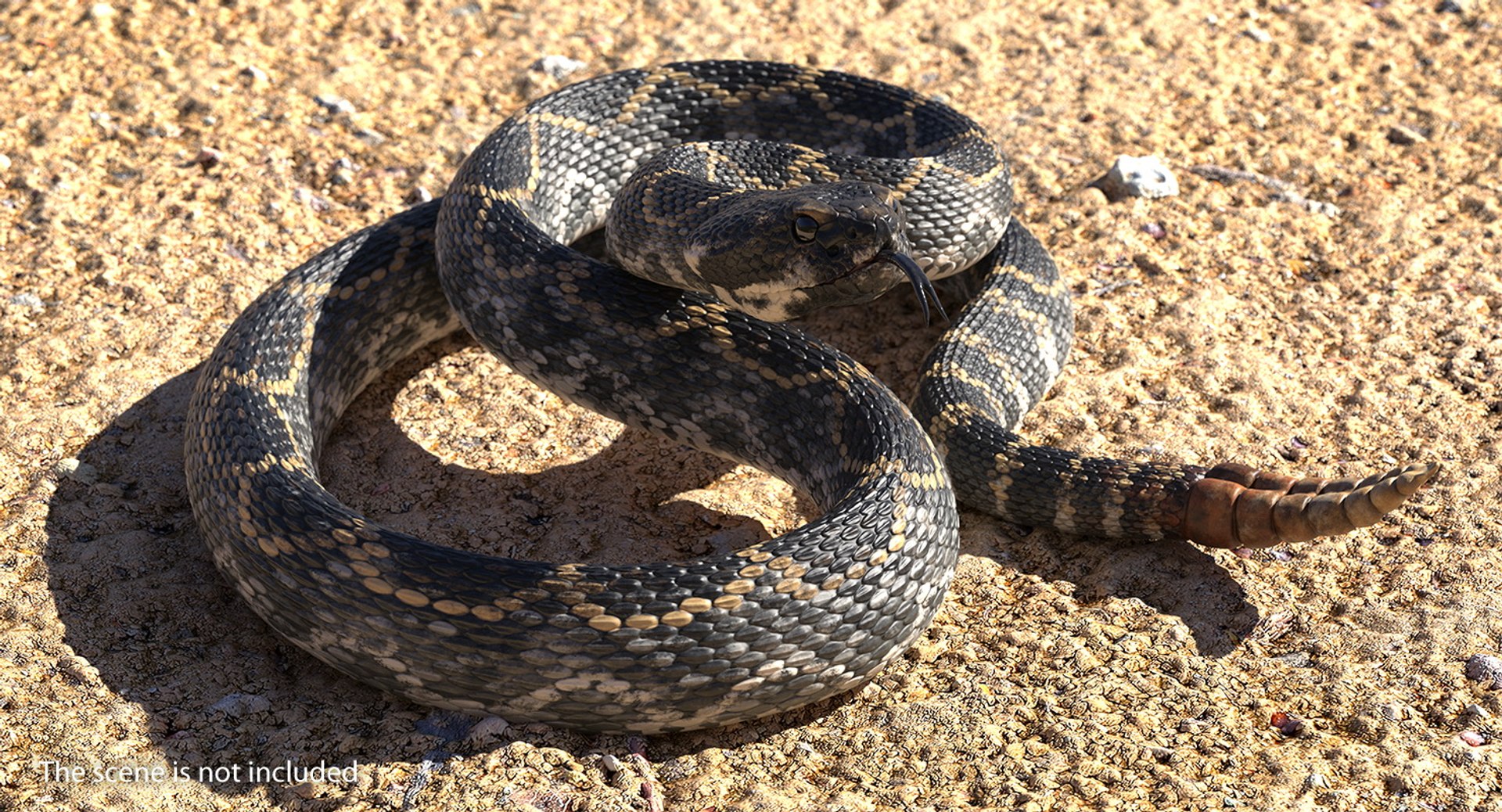 3D rigged snakes 3 https://p.turbosquid.com/ts-thumb/lq/DgZGR1/A3NRVORO/riggedsnakescollection33dsmodel028/jpg/1562588237/1920x1080/fit_q87/e21f555054d5fb06d700e863211b75755a174ecb/riggedsnakescollection33dsmodel028.jpg