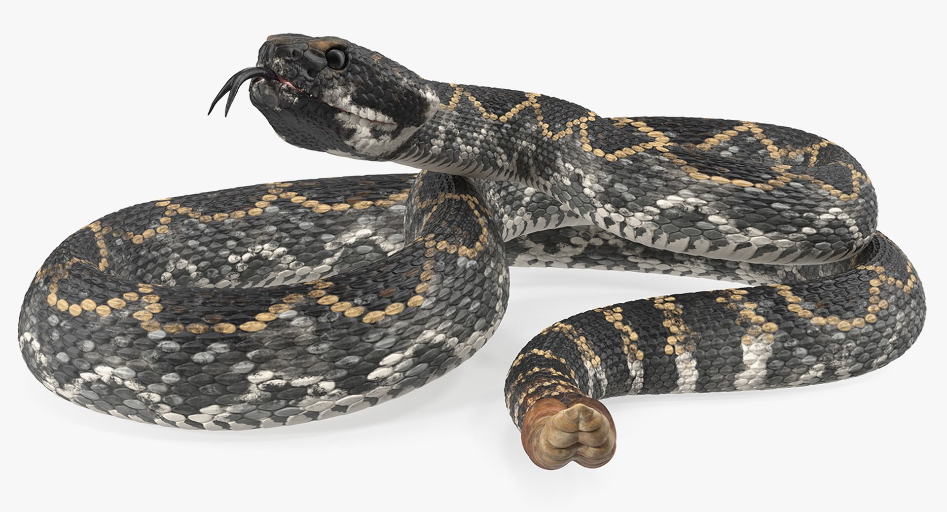 3D rigged snakes 3 https://p.turbosquid.com/ts-thumb/lq/DgZGR1/DVHpqYgo/riggedsnakescollection33dsmodel030/jpg/1562588244/1920x1080/fit_q87/33ebbef3787ed7585777582d41b18fa200490147/riggedsnakescollection33dsmodel030.jpg