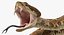 Coleção Rigged Snakes 3