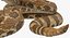 Coleção Rigged Snakes 3