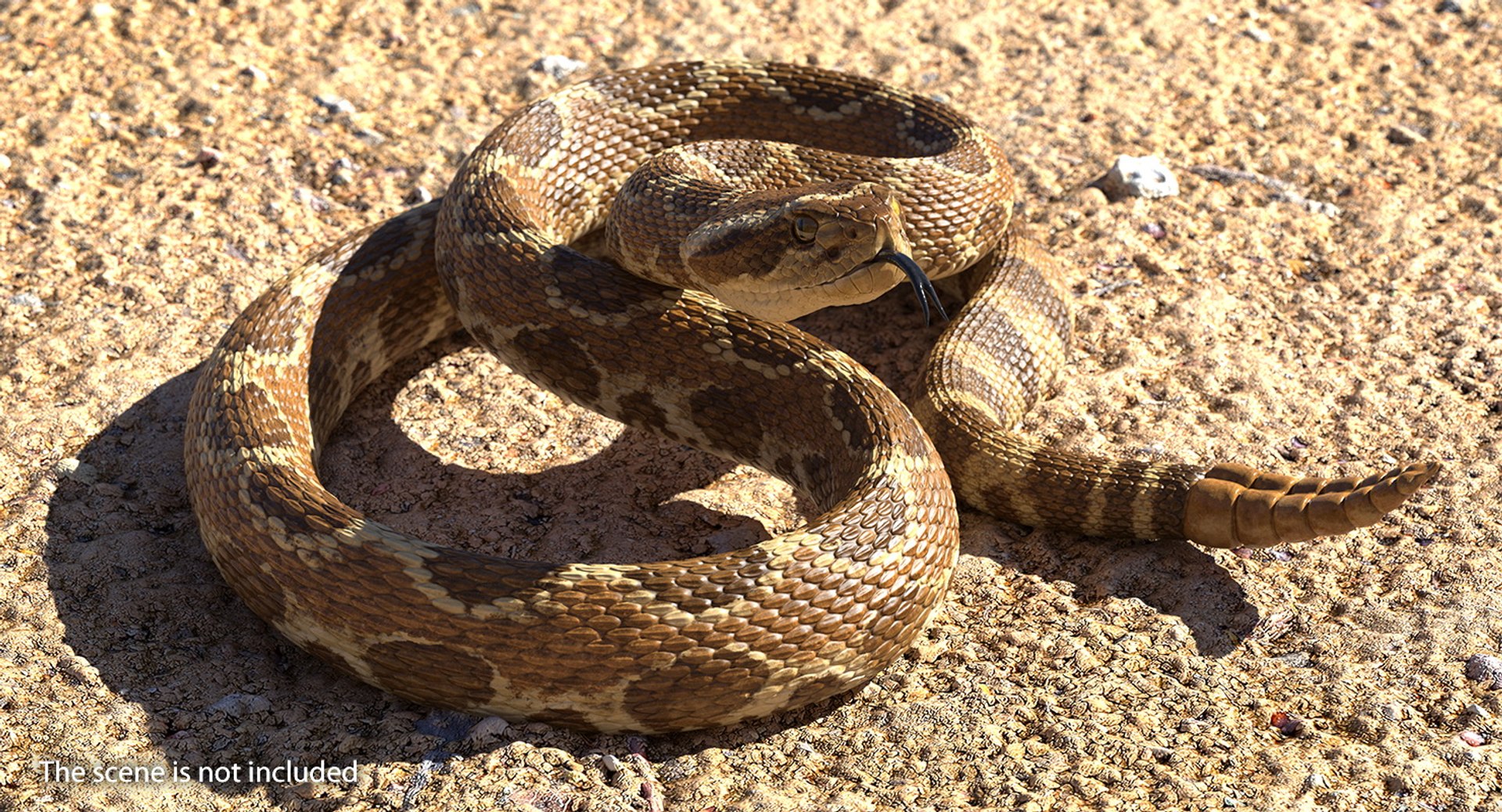 3D rigged snakes 3 https://p.turbosquid.com/ts-thumb/lq/DgZGR1/N8fC4vG8/riggedsnakescollection33dsmodel040/jpg/1562588275/1920x1080/fit_q87/91a1e4eaecf3feaa657b2c7f0916abf44b0457c8/riggedsnakescollection33dsmodel040.jpg