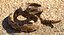 Coleção Rigged Snakes 3