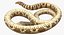 Coleção Rigged Snakes 3