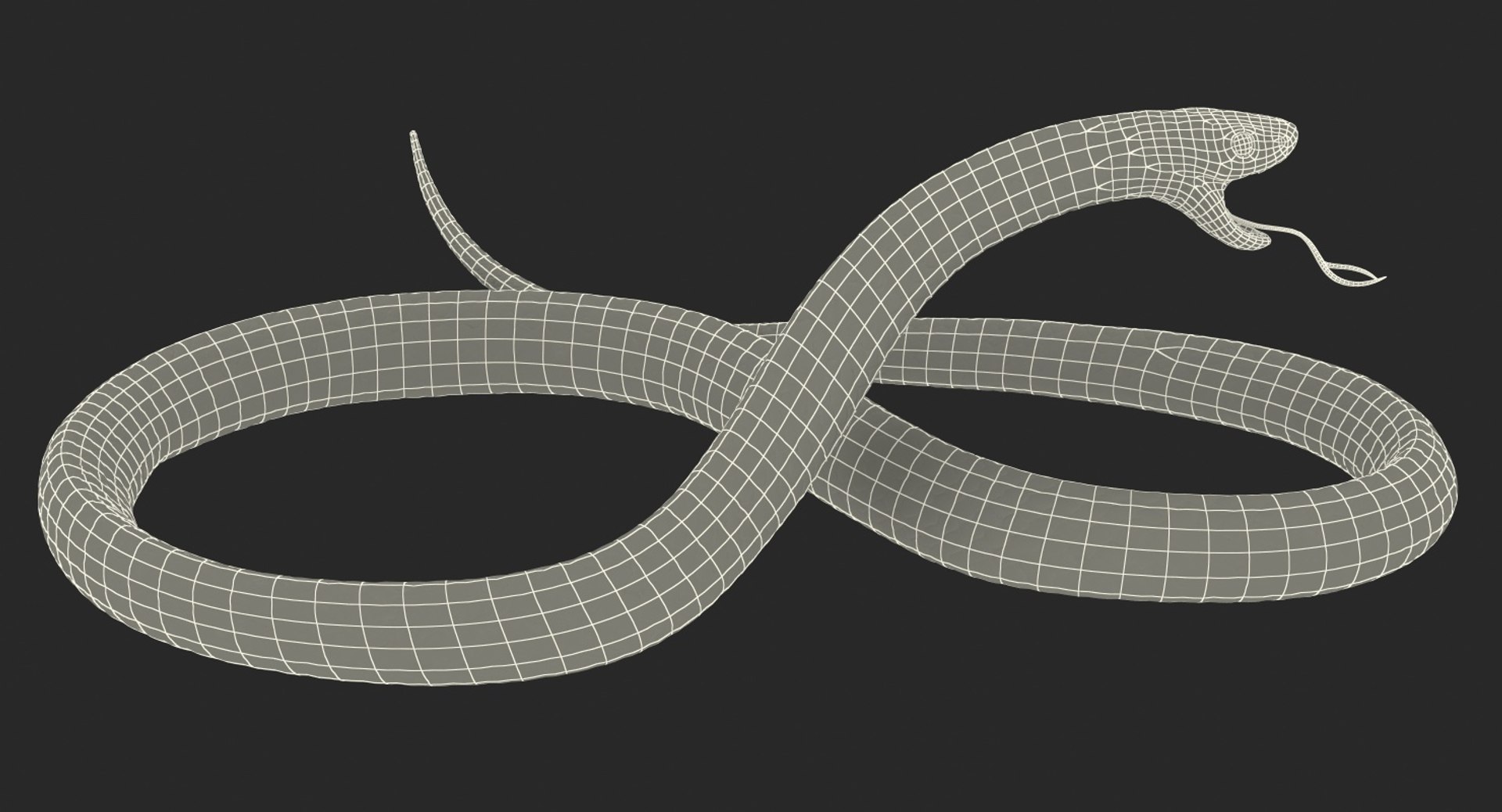3D rigged snakes 3 https://p.turbosquid.com/ts-thumb/lq/DgZGR1/auSiNvV0/riggedsnakescollection33dsmodel067/jpg/1562588367/1920x1080/fit_q87/1c132cf170d9ec0c47191c35702599ebcc7b76ec/riggedsnakescollection33dsmodel067.jpg