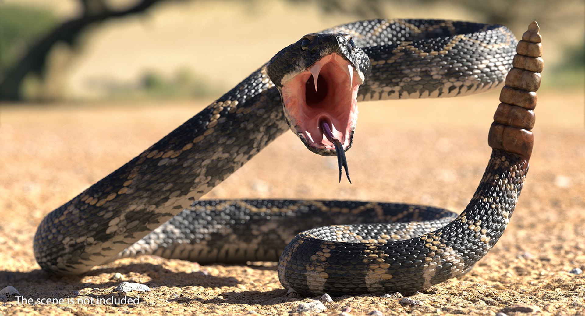 3D rigged snakes 3 https://p.turbosquid.com/ts-thumb/lq/DgZGR1/sVZvAihG/riggedsnakescollection33dsmodel027/jpg/1562588234/1920x1080/fit_q87/267fbb7ec43e618542da618197d4319946ca3d10/riggedsnakescollection33dsmodel027.jpg