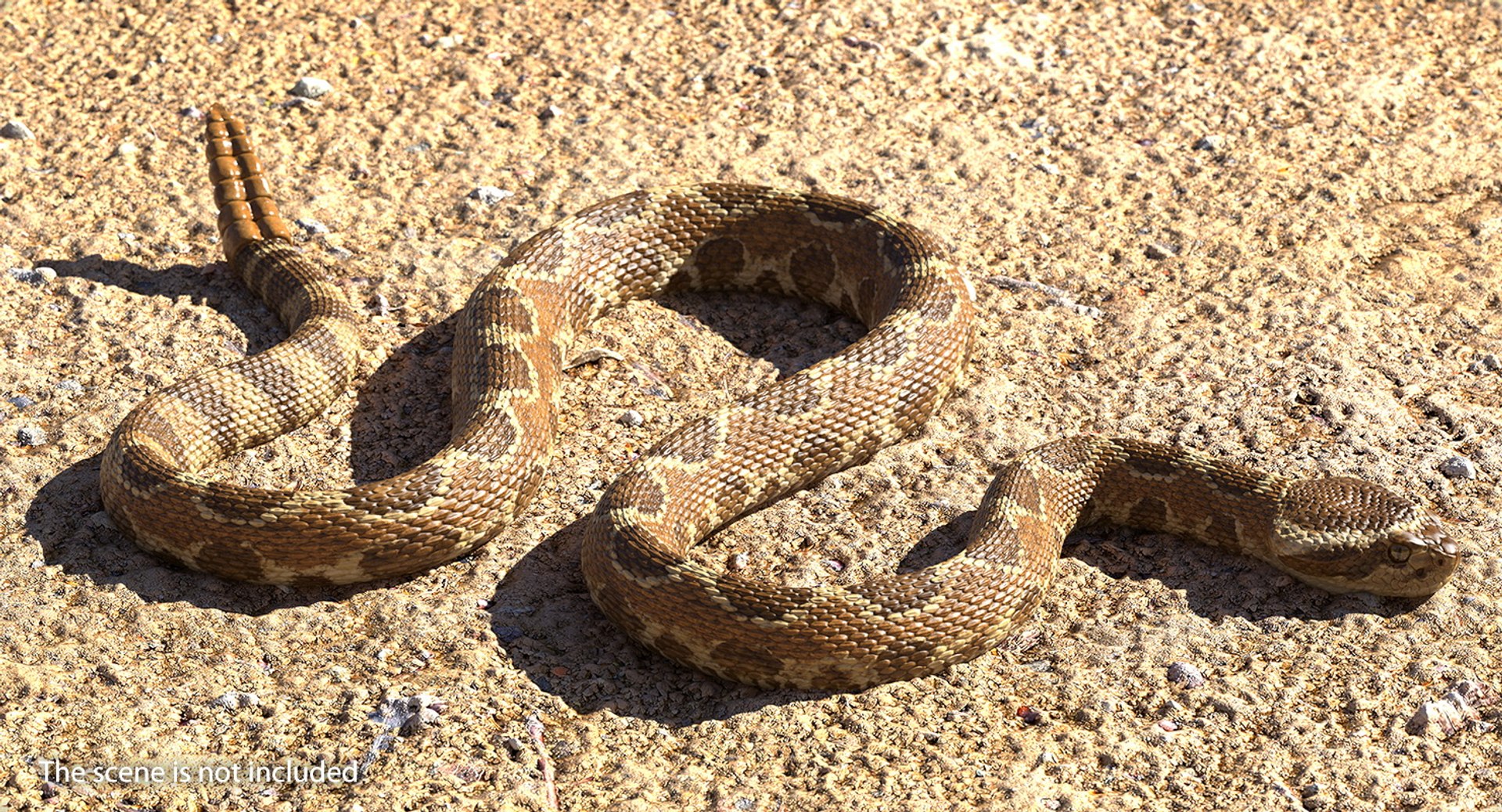 3D rigged snakes 3 https://p.turbosquid.com/ts-thumb/lq/DgZGR1/tyA2ooeU/riggedsnakescollection33dsmodel041/jpg/1562588280/1920x1080/fit_q87/6c90fd5da2c8261bb3be1e0ac4d200016e1ef9c0/riggedsnakescollection33dsmodel041.jpg