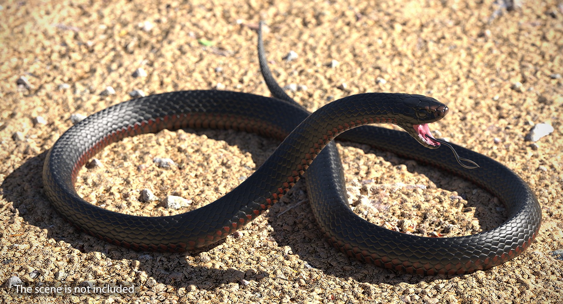3D rigged snakes 3 https://p.turbosquid.com/ts-thumb/lq/DgZGR1/u1jQhyWG/riggedsnakescollection33dsmodel054/jpg/1562588329/1920x1080/fit_q87/4a76d9ba9fedc90d0f60516ac2cc0b262eab97e3/riggedsnakescollection33dsmodel054.jpg