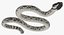 Coleção Rigged Snakes 3