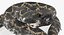 Coleção Rigged Snakes 3