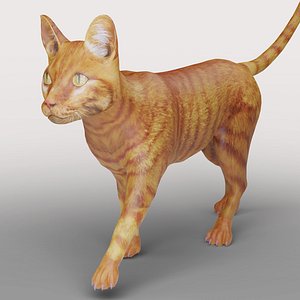 Cat Yellow V3 Rigged and Animated model