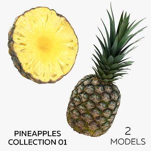 3D Pineapples Collection 01 - 2 models