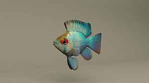 dwarf balloon blue ramirezi