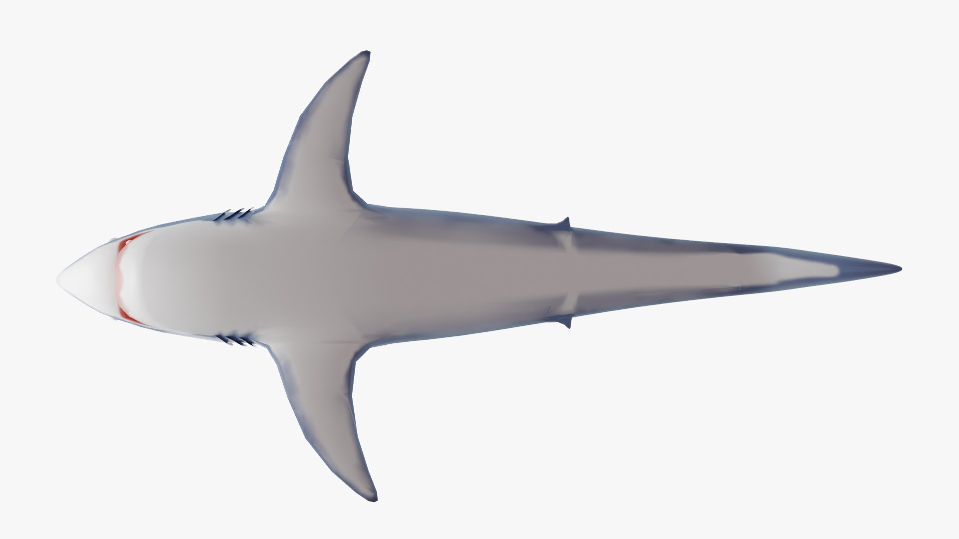 3D Cartoon Great White Shark https://p.turbosquid.com/ts-thumb/lq/XRKh4o/pJ/ws_6/png/1692554166/1920x1080/fit_q87/ae64e9697226e173910736cdc6a01a9bb23dc882/ws_6.jpg