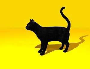 Black Cat Rigged + GIFT