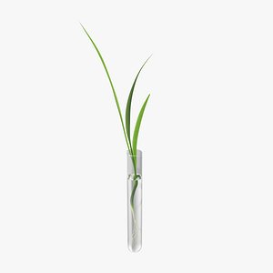Plant Test Tube