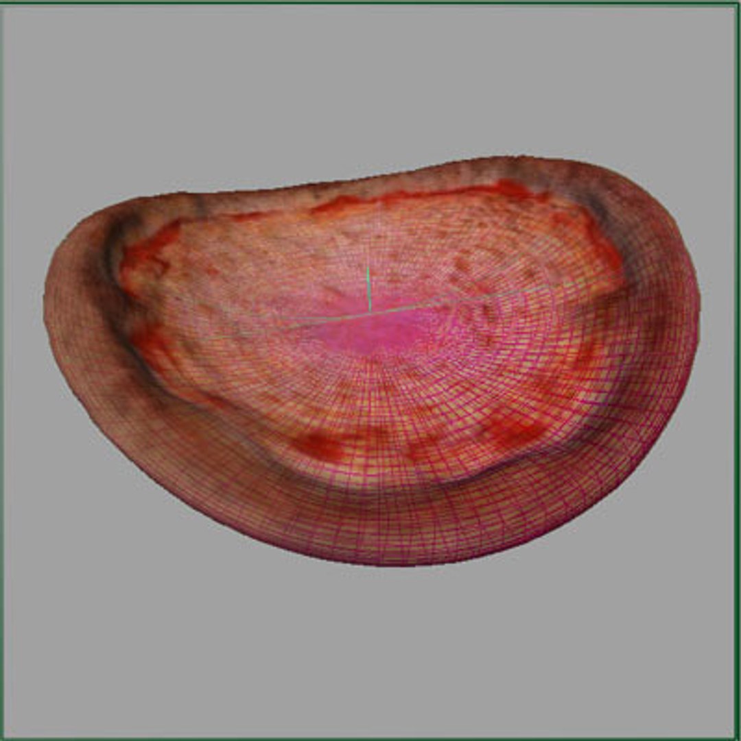 3d brooklyn style cheese pizza model https://p.turbosquid.com/ts-thumb/lq/qViTrS/CSKIfhud/mayaorigbentshad/jpg/1095066745/1920x1080/fit_q87/a02190a74a5f5ff642f2a89cb1542f4d60e31cb6/mayaorigbentshad.jpg