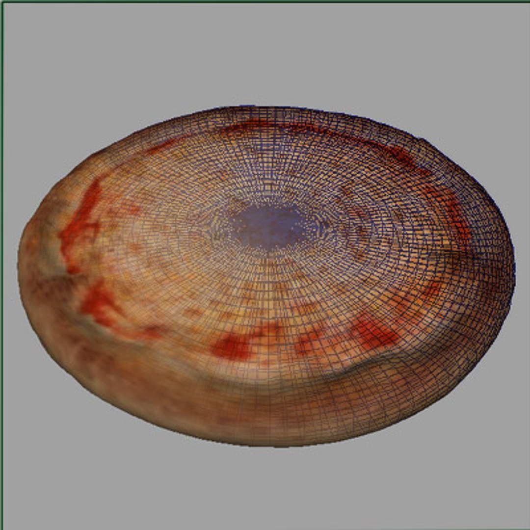 3d brooklyn style cheese pizza model https://p.turbosquid.com/ts-thumb/lq/qViTrS/o4E14nNx/mayaorigflatshad/jpg/1095066747/1920x1080/fit_q87/599ecdb955cce8974a64285e72d778034cfd9c38/mayaorigflatshad.jpg