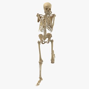 3D Real Human Female Skeleton Pose 83