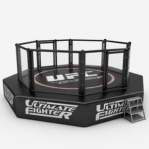 UFC Fighting Arena