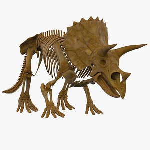 3dsmax triceratops skeleton rigged