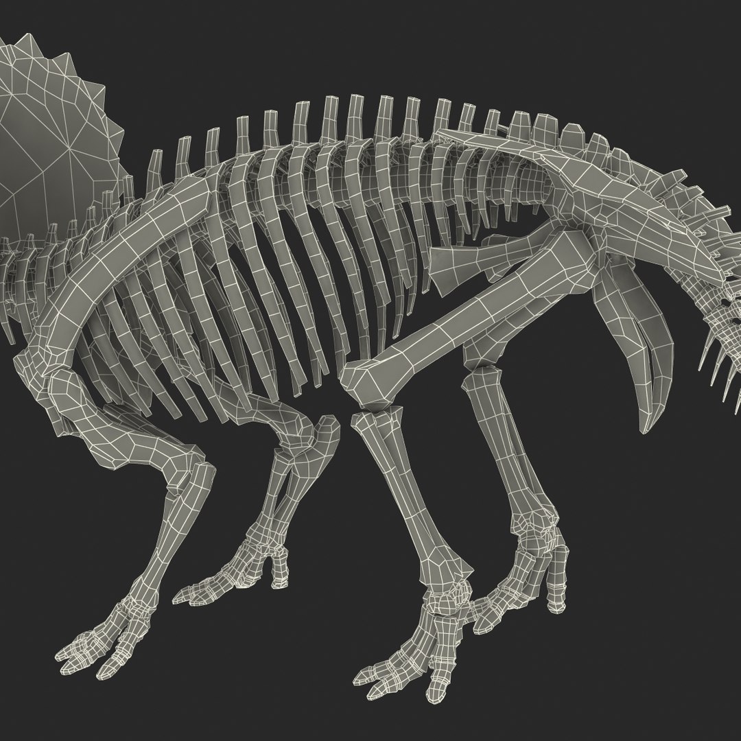 3dsmax triceratops skeleton rigged