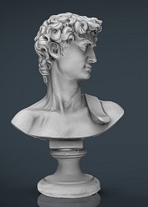 David Bust