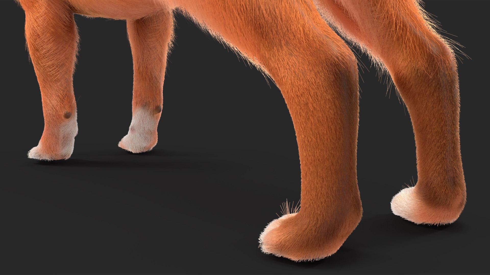3D Chihuahua Dog Rigged Fur https://p.turbosquid.com/ts-thumb/lr/ShJMHX/9X/chihuahuadogriggedfur3dsmodel024/jpg/1715628007/1920x1080/fit_q87/c9a15bc3a4b97b2deea6872f4c2c9ebebca823fd/chihuahuadogriggedfur3dsmodel024.jpg