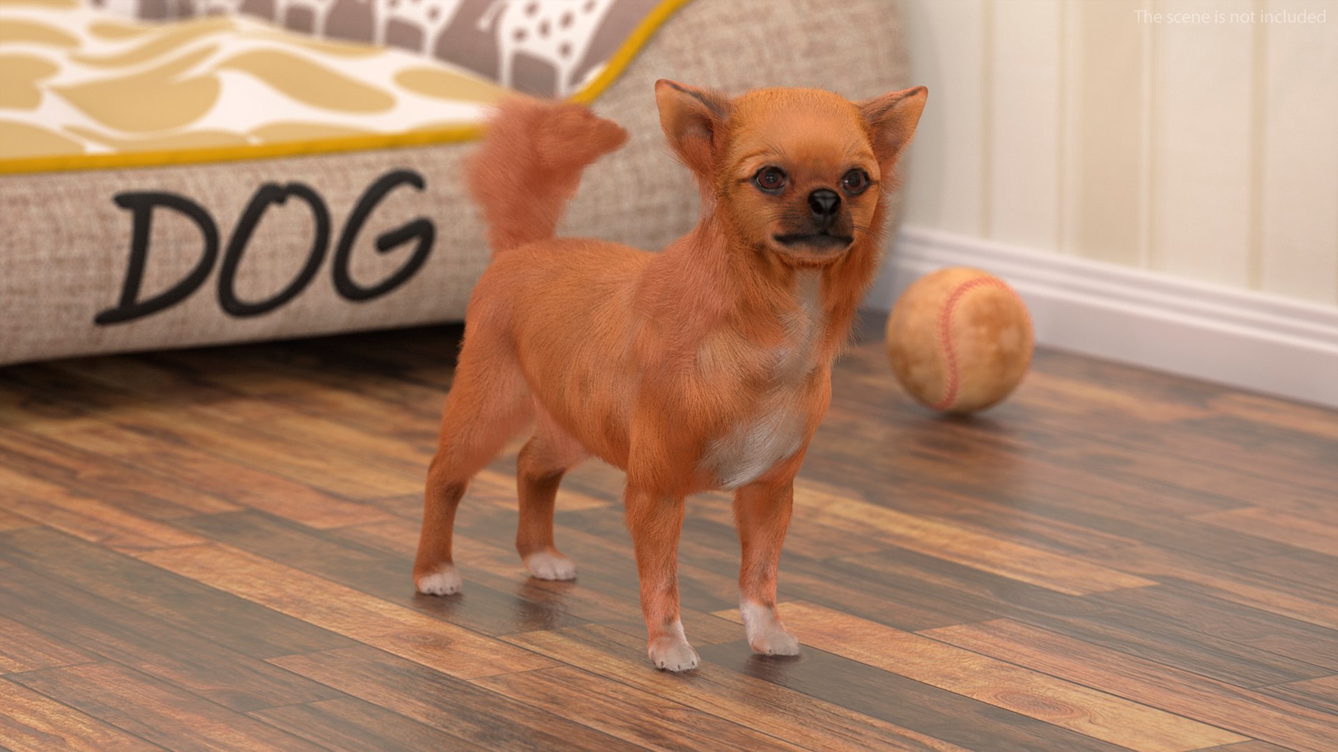 3D Chihuahua Dog Rigged Fur https://p.turbosquid.com/ts-thumb/lr/ShJMHX/A3/chihuahuadogriggedfur3dsmodel006/jpg/1715627914/1920x1080/fit_q87/d0f2018f63510745eb42b72578e9a8e1fdbc4b70/chihuahuadogriggedfur3dsmodel006.jpg