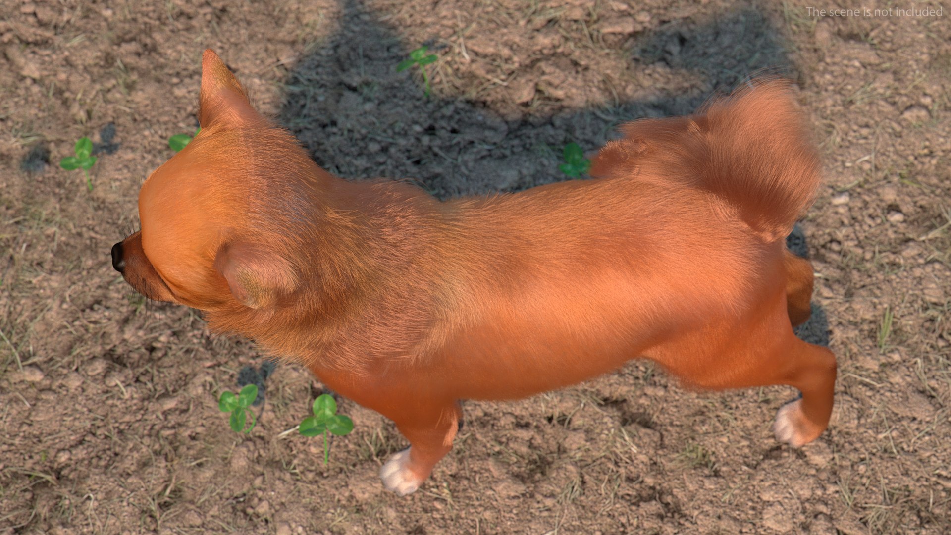 3D Chihuahua Dog Rigged Fur https://p.turbosquid.com/ts-thumb/lr/ShJMHX/HD/chihuahuadogriggedfur3dsmodel005/jpg/1715627906/1920x1080/fit_q87/7429036b91949fffc0b173f8850a563bca89b468/chihuahuadogriggedfur3dsmodel005.jpg