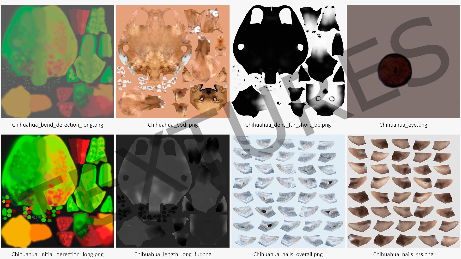 3D Chihuahua Dog Rigged Fur https://p.turbosquid.com/ts-thumb/lr/ShJMHX/JS/chihuahuadogriggedfur3dsmodel029/jpg/1715628039/1920x1080/fit_q87/0b9654a5aaba178bbfc06ea24f88dbbaeaeec795/chihuahuadogriggedfur3dsmodel029.jpg