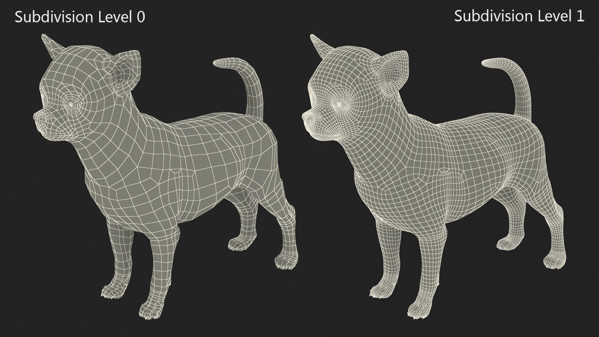 3D Chihuahua Dog Rigged Fur https://p.turbosquid.com/ts-thumb/lr/ShJMHX/NI/chihuahuadogriggedfur3dsmodel027/jpg/1715628025/1920x1080/fit_q87/e5e50f02699fa6c2dceb500192d6f307949ba5c0/chihuahuadogriggedfur3dsmodel027.jpg