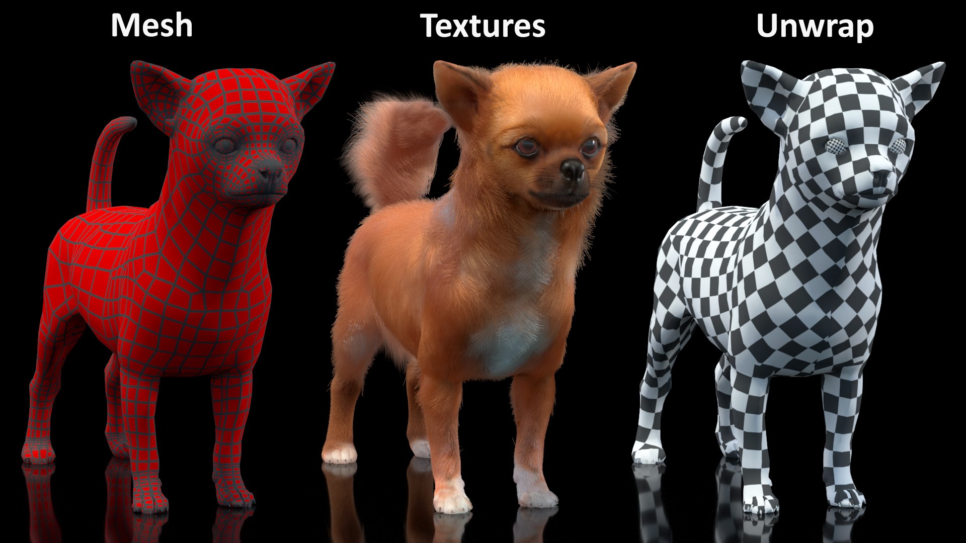 3D Chihuahua Dog Rigged Fur https://p.turbosquid.com/ts-thumb/lr/ShJMHX/QI/chihuahuadogriggedfur3dsmodel026/jpg/1715628019/1920x1080/fit_q87/f2738e5f113cd11f213aa1128dfb9443fedf6f19/chihuahuadogriggedfur3dsmodel026.jpg