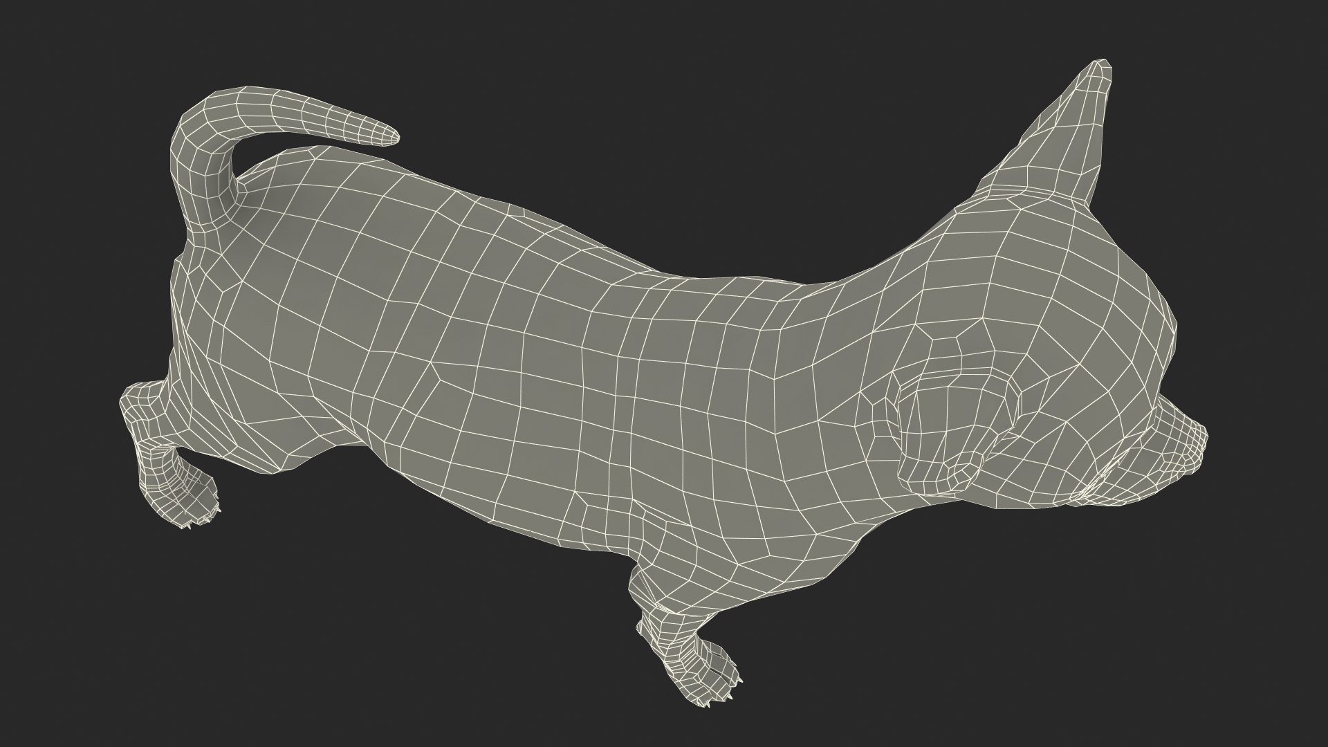 3D Chihuahua Dog Rigged Fur https://p.turbosquid.com/ts-thumb/lr/ShJMHX/Ty/chihuahuadogriggedfur3dsmodel032/jpg/1715628055/1920x1080/fit_q87/08e6cfd9a51f3d82021155654ef91d6437db6454/chihuahuadogriggedfur3dsmodel032.jpg