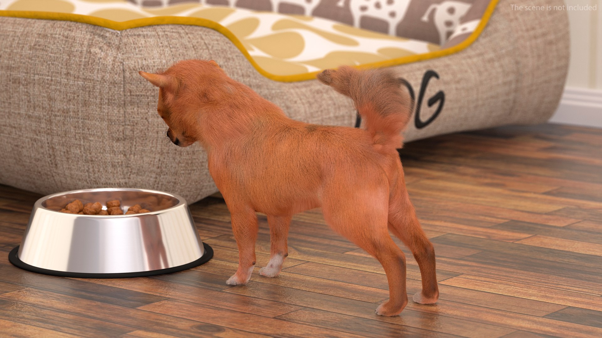 3D Chihuahua Dog Rigged Fur https://p.turbosquid.com/ts-thumb/lr/ShJMHX/bz/chihuahuadogriggedfur3dsmodel007/jpg/1715627921/1920x1080/fit_q87/51e6dfef224b837ce170d3c63dfdceb00fdcf5e9/chihuahuadogriggedfur3dsmodel007.jpg