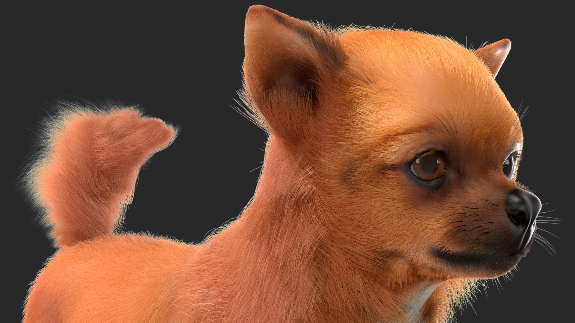 3D Chihuahua Dog Rigged Fur https://p.turbosquid.com/ts-thumb/lr/ShJMHX/cF/chihuahuadogriggedfur3dsmodel022/jpg/1715627997/1920x1080/fit_q87/b7481bcdcbf7c800ec36562342ba12338bcdaee5/chihuahuadogriggedfur3dsmodel022.jpg