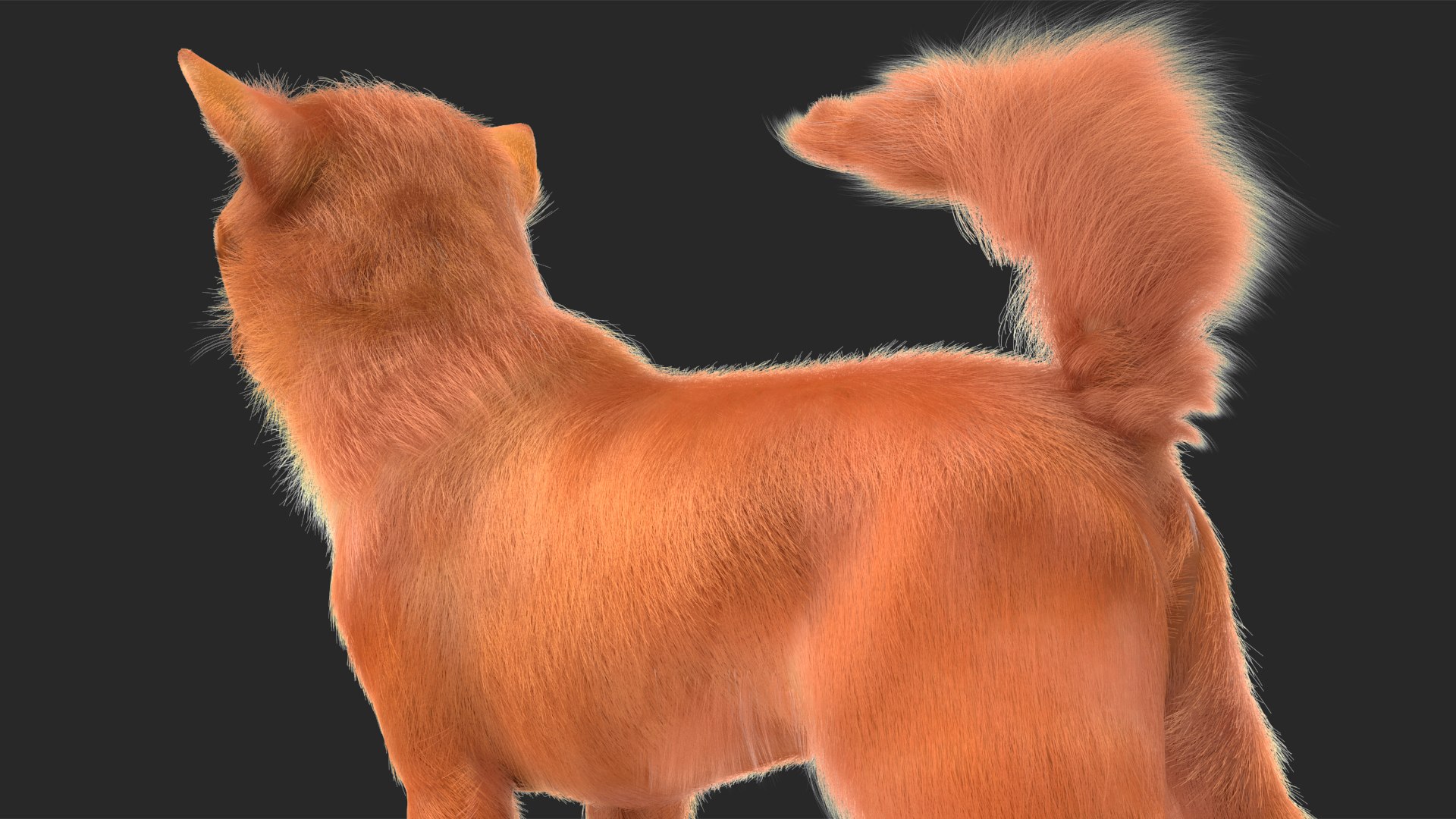 3D Chihuahua Dog Rigged Fur https://p.turbosquid.com/ts-thumb/lr/ShJMHX/eZ/chihuahuadogriggedfur3dsmodel021/jpg/1715627991/1920x1080/fit_q87/1287c6ef3e2ae16dfa05ffef8a6c6fd5c5396ae3/chihuahuadogriggedfur3dsmodel021.jpg