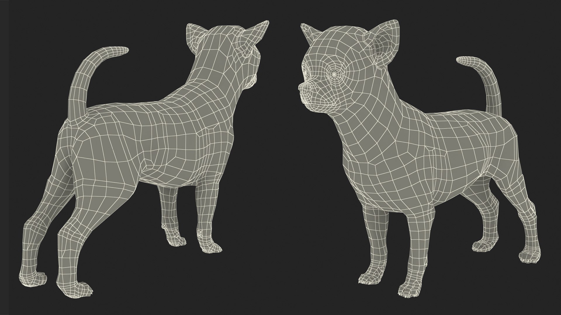 3D Chihuahua Dog Rigged Fur https://p.turbosquid.com/ts-thumb/lr/ShJMHX/hd/chihuahuadogriggedfur3dsmodel031/jpg/1715628051/1920x1080/fit_q87/a5b29ec04b7f359fb304245975744976d9be12fc/chihuahuadogriggedfur3dsmodel031.jpg